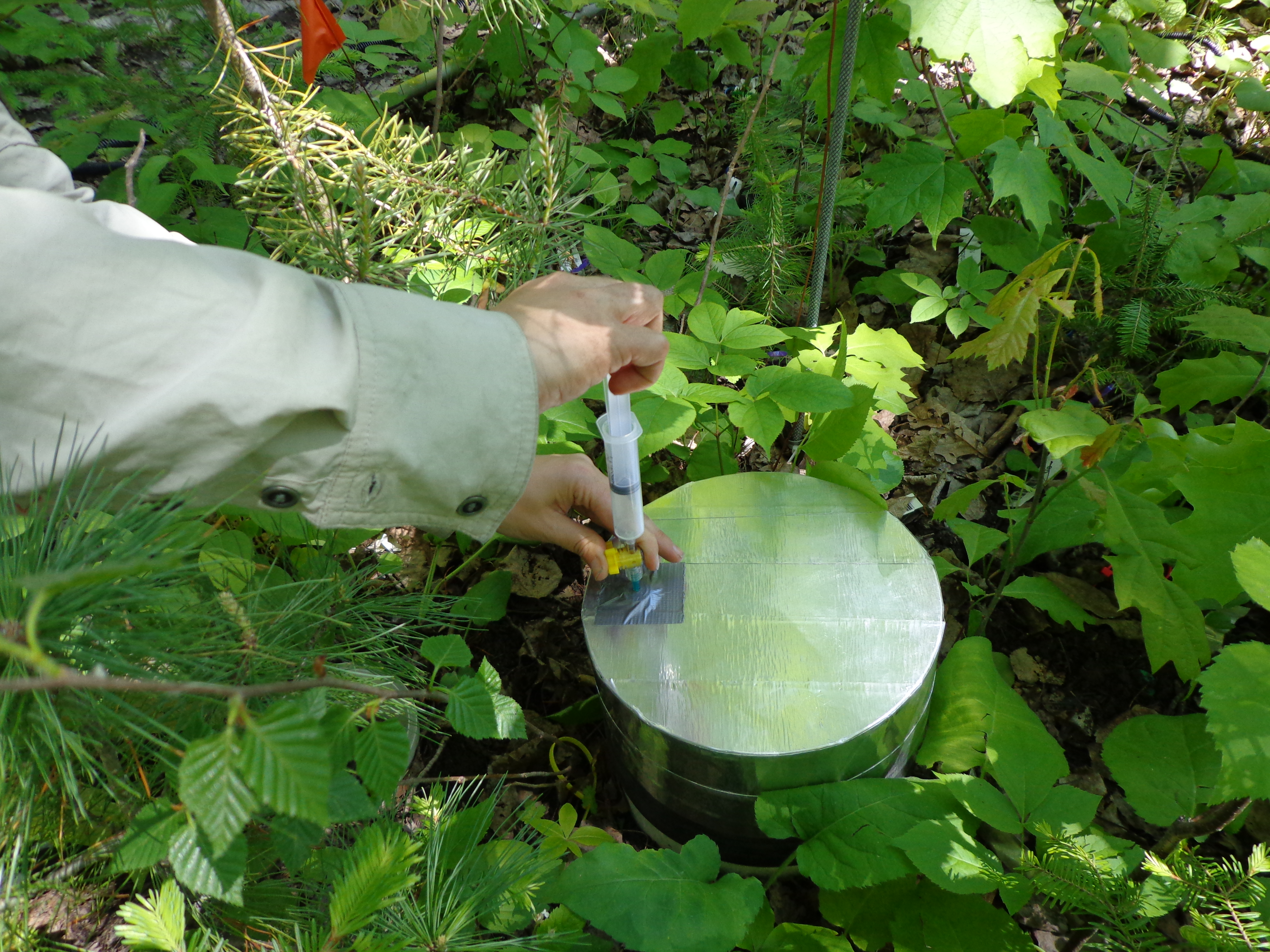 Sampling Headspace Volume using a Syringe and a Sampling Port